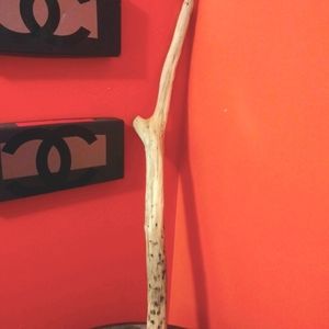 SOLD!!!!LOOK!!!!Drift wood Lake Erie